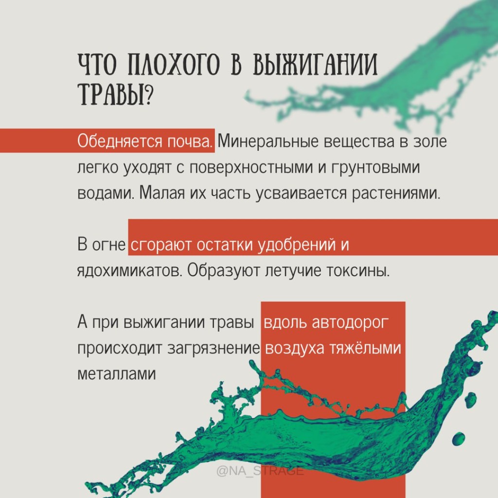 IMG_20240316_155855_916