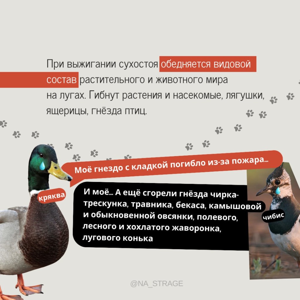 IMG_20240316_155856_151