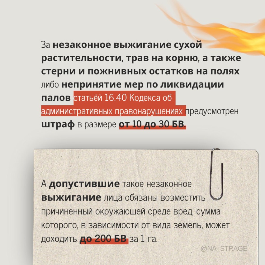 IMG_20240316_155856_286