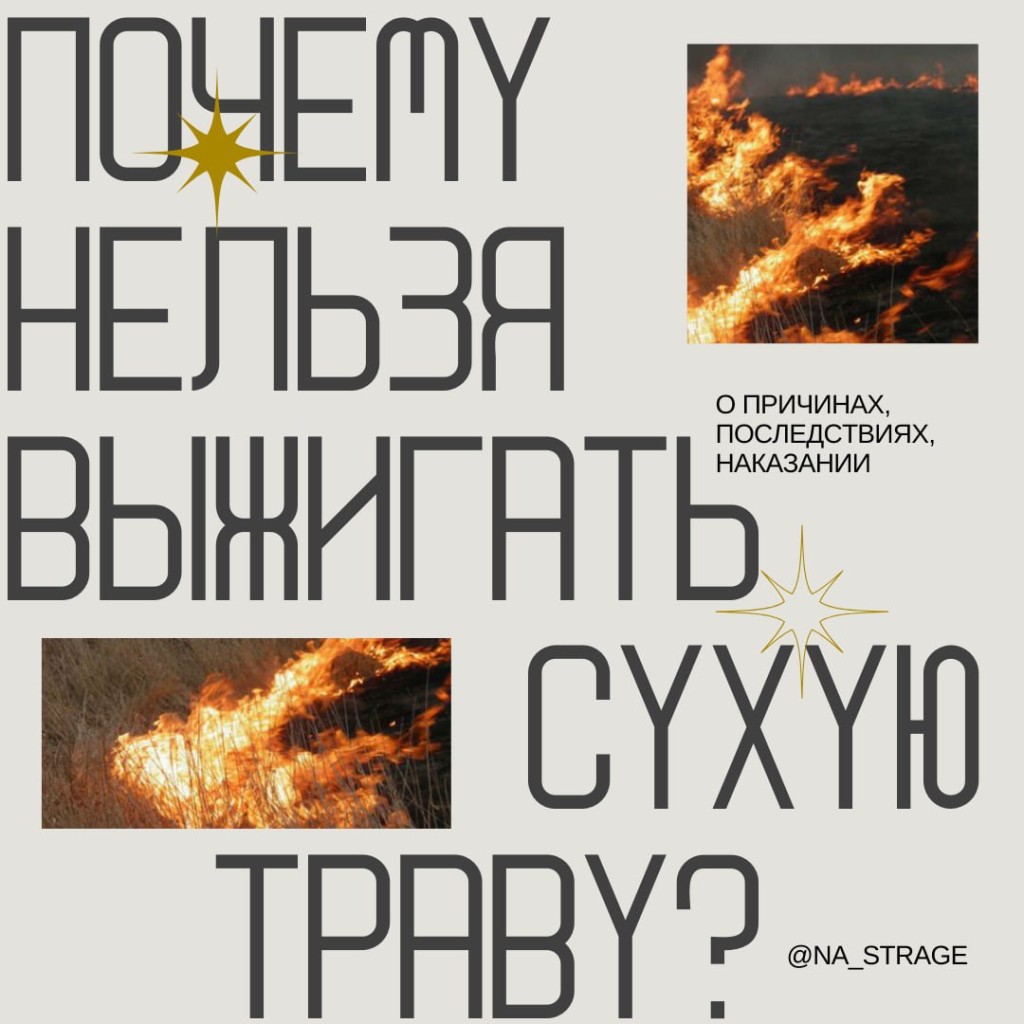 IMG_20240316_155856_463