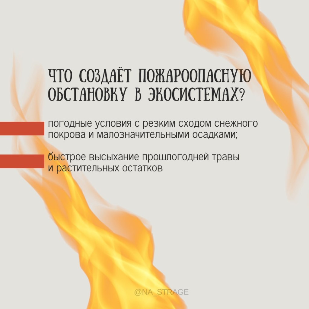 IMG_20240316_155856_827