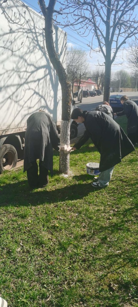 изображение_viber_2025-04-18_14-42-55-781
